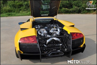1000 konne Lamborghini Murcielago –  