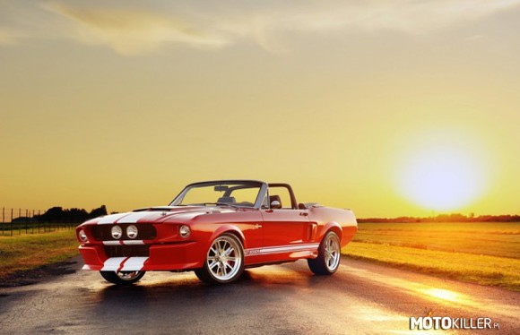 Ford mustang shelby gt 500 cr convertible –  