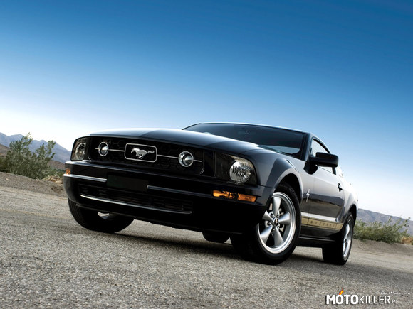 Mustang – Coś pięknego 