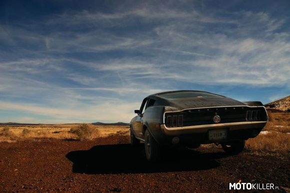 Ford Mustang – Piękne Klasyki i paliwo żerne :/ 