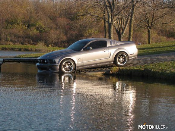 Brrr Ale Zimna – Ford Mustang 