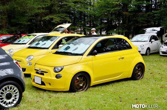 Angry Fiat 500 –  