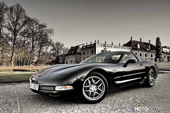 Corvette American Muscle –  