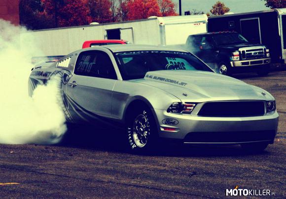 Ford Mustang Cobra –  
