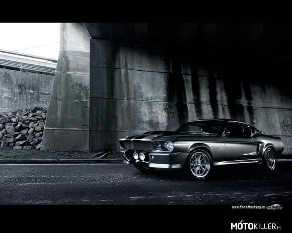 Shelby Mustang GT-500 czyli... – piękna Eleanor 