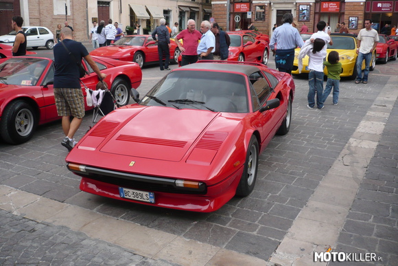 Ferrari 308 GTS –  