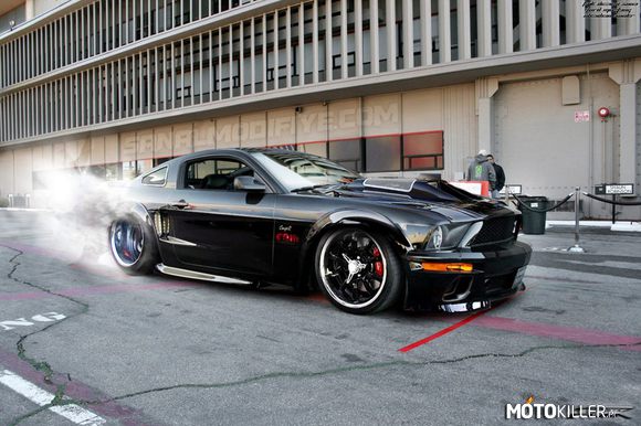 Mustang GTX –  