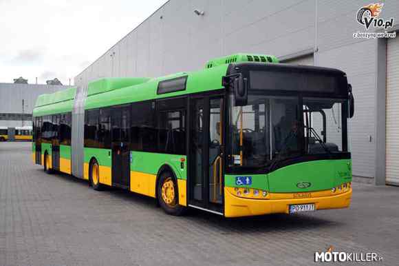 Solaris Urbino 18 Hybrid – Hybrydowy &apos;&apos;Jamnik &apos;&apos; Jeden z lepszych i najnowocześniejszych autobusów w Polsce. 
Zadebiutował w 2008 roku w Poznaniu i tam również jeździ ich najwięcej. Aczkolwiek jeżdżą również poza granicami naszego kraju. 