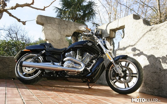 Harley Davidson V-Rod –  