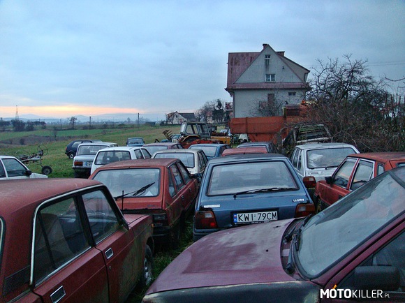 Tył podwórka jednego pana – 17 Maluchów, 13 Polonezów, 7 Fiatów 125p, Skodę 105, kilka ciągników i inne samochody widoczne 