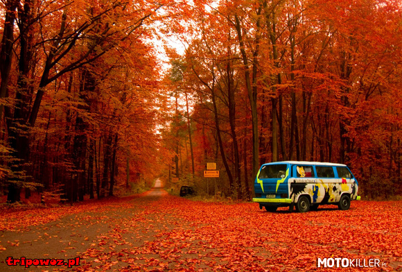 Jesienny Tripowóz – VW T3 