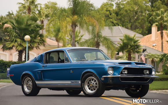 Shelby GT 500 Fastback –  