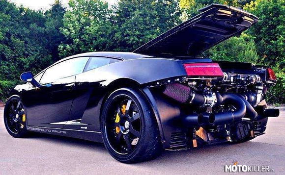 Śliczne Lamborghini –  