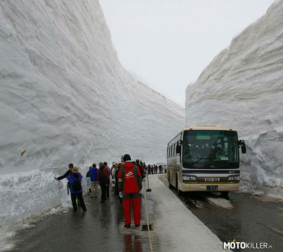 Japonia - po 10 METRÓW śniegu! – Polskę paraliżuje już 15cm... 