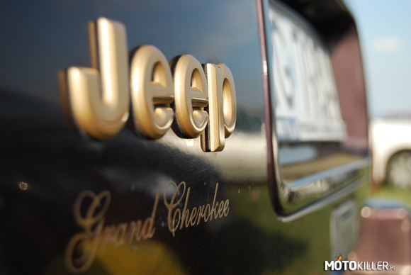 Jeep – zdjęcie zrobione mojemu dzipkowi 