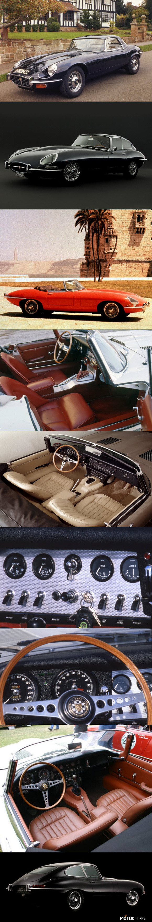 Jaguar E-Type - Charseria samochodów wyjątkowych – Zaraz po wojnie w Bedford otwarto pierwszy tunel aerodynamiczny. Ma to bezpośredni związek z naszym Jaguarem. Jaki? Czytaj!

Auto było projektowane nocą. William Lyons (ówczesny szef Jaguara) był bardzo sceptycznie nastawiony do tego projektu. Zatem projektowano go po godzinach. William Lyons uważał, że trzeba modernizować XK 120, a nie pchać się w nowe projekty. Projektanci i inżynierowie nie posłuchali go jednak. Po zbudowaniu nadwozia przewieziono go do Bedford, gdzie miano zamiar sprawdzić go w tunelu aerodynamicznym, by dopracować szczegóły. No i na chęciach się skończyło. Gdy zaczęto osiągać większe prędkości tunel zaczął pobierać tak duże ilości energii, że odłączył od zasilania całe Bedford. I z tym sobie poradzono. Jak? Ano uruchamiano tunel nocą. Gdy w Kociaku zawitał 12 cylindrowy silnik - trzeba było go sprawdzić. Ówczesne auta osiągały przeciętnie 110 - 130 km/h. To był ich kres. Jag jechał o 100 km/h szybciej. Tory wówczas to były opuszczone lotniska. Zbyt krótkie jak się okazało, by poznać możliwości samochodu. Ale przecież jest nowo wybudowana M1. Za dnia ruch był spory, ale nocą... To było jak bawienie się granatem z wyciągniętą zawleczką. Pamiętajmy, że nie było wtedy nawet pasów bezpieczeństwa, a jedynym zabezpieczeniem kierowcy była wiara, ze w razie wypadku nie odleci zanadto od samochodu i że będzie z niego co zbierać... Lecz testowano Jaga nocą w tajemnicy przed Wiliamem. Tak oto nocą narodził się E-type. Taki nocny kot.

Gdy auto ujrzał William Lyons - uznał go za największą porażkę firmy. Nie podobała mu się niska sylwetka i niesamowicie długi przód. Uważał auto za pokraczne. Jednak z braku innego modelu auto wystawiono w salonie samochodowym w Genewie... Z drżącym sercem, bo do tej pory William Lyons zawsze miał rację.

Tymczasem życie pokazało oś zupełnie innego. W Genewie auto odniosło gigantyczny sukces. Zostało uznane za najładniejszy samochód świata, kosztowało trzykrotnie mniej, niż Ferrari, a chętnych na jazdę próbną było tylu, że z fabryki musiano sprowadzić drugie auto (w wersji Cabrio). Sam Enzo Ferrari uznał je za najpiękniejszy samochód jaki kiedykolwiek wyprodukowano i był posiadaczem 3 modeli E-Type. Zresztą kto kojarzy Ferrari Daytona, ten od razu będzie widział, jakie auto było inspiracją przy projektowaniu owego Ferrari. Do dziś Jag budzi podziw, szacunek i zachwyca pięknem... Zgodnie z dewizą - piękno jest ponadczasowe.

Poniżej dane techniczne najmocniejszego kocurka (co najciekawsze, nie był najszybszy, bo waga silnika robiła swoje, silnik sześciocylindrowy o pojemności 4235 ccm i mocy 269 koni osiągał prędkość 246 km/h):

Silnik: V12 5,4 l (5344 ccm), SOHC
Układ zasilania: cztery gaźniki
Moc maksymalna: 276 KM (203 kW) przy 5850 obr/min
Maks. moment obrotowy: 412 N•m przy 3600 obr/min
0-100 km/h: 6,4 s
V-max: 235 km/h

Samochód zajął pierwsze miejsce w rankingu The Daily Telegraph stu najpiękniejszych samochodów wszech czasów.

Pozostałe samochody opisywane w serii Tutaj 