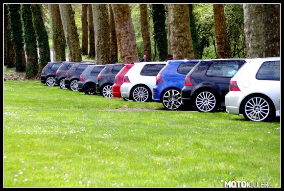 Do koloru-do wyboru! – -Volkswageny! 