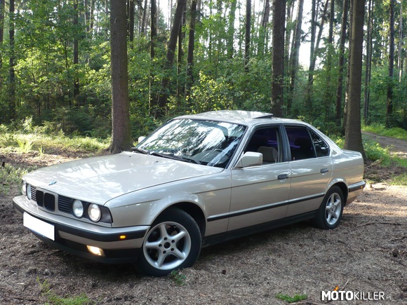 Moje BMW 520i E34 1992 rok. – Piękna złota 150 konna zeszperowana bestia na spacerze Po lesie. Jedyne w takim kolorze i w takim stanie w moim miasteczku. 

Dawid Śliwiński 