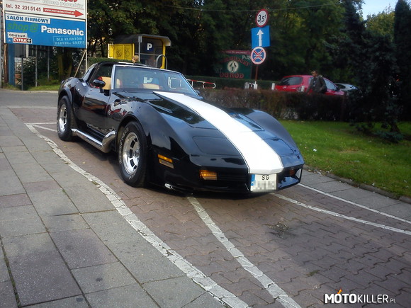 Corvette, Gliwice –  