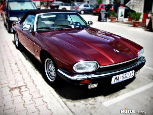 Jaguar XJS V12 – Zdjęcie mojego autorstwa, złapany w Chorwacji 
