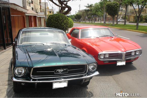 Ford Mustang Hard Top 1967 i Pontiac Firebird 1967 – Oba są piękne ! 