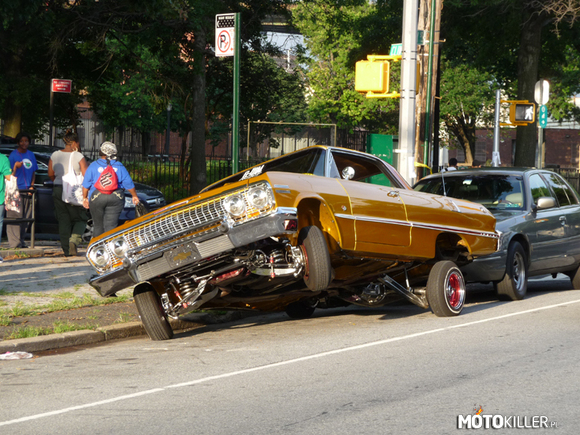 Impala – Kto by chciał widzieć na swojej ulicy tak zaparkowane samochody? 
