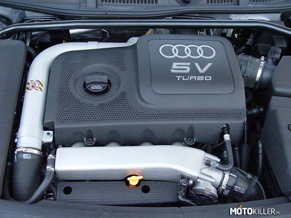 Serducho Audi TT Quattro – Stąd to Audi bierze moc... 