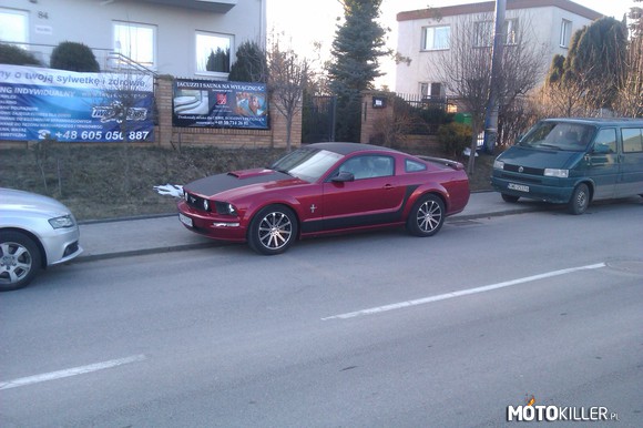 Mustang w Gdyni – Taki Mustang napotkany w Gdyni wczoraj z dodatkami w chromie 