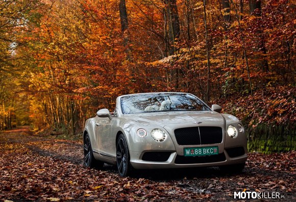 Continental GT –  