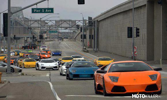 Lamborghini Family –  