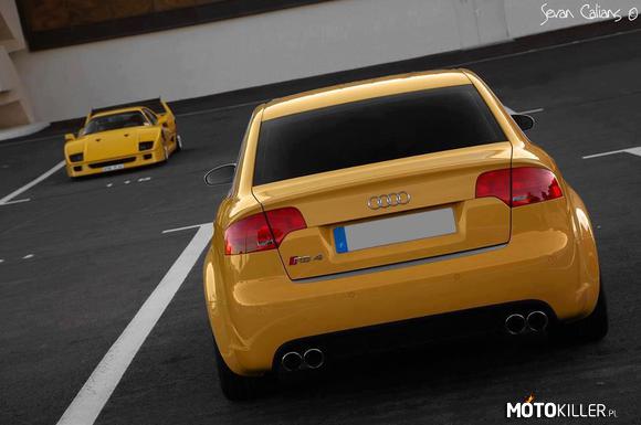 Dwie żółte bestie –  
