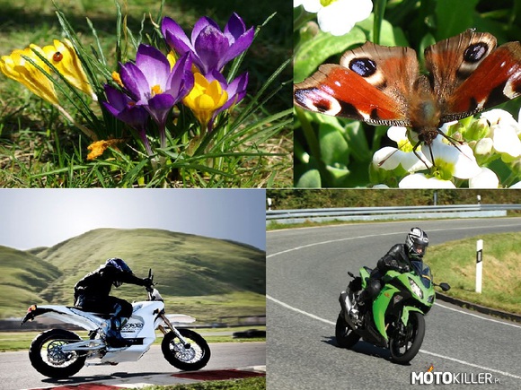Jak normalni ludzie rozpoznają wiosnę – I jak motokillerzy rozpoznają wiosnę. Mam rację? 