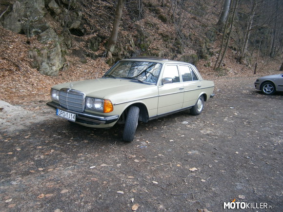 W123 spotkane w Głuchołazach – Mercedes w perfekcyjnym stanie, spotkany w województwie opolskim koło Głuchołaz 
