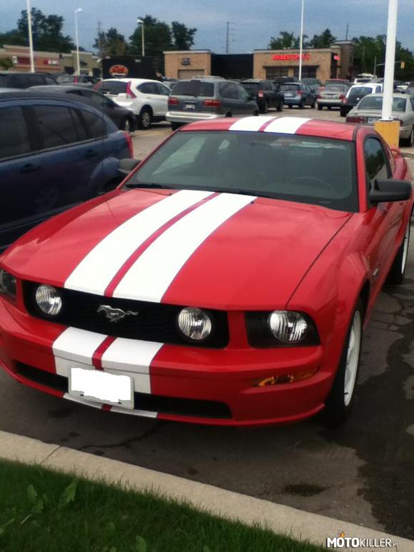 Red Mustang – Piękny czy bestia? 
