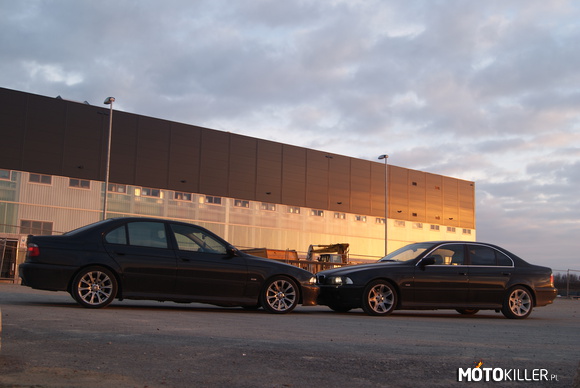 BMW e39 – Dwie Beemki Dwóch braci 530 i 535 