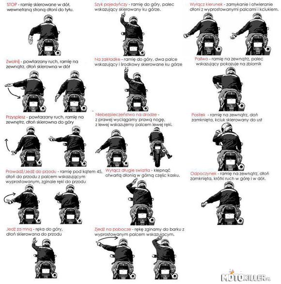 14 Przykazań motocyklisty – naucz się ich na pamięć!

LWG 