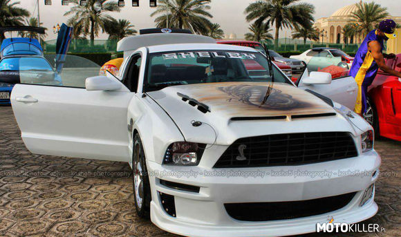Shelby GT-500 –  