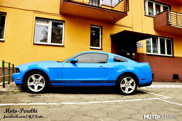 Smerfny Mustang – Więcej świetnych materiałów znajdziecie na Moto-Perełki(link w źródle) 