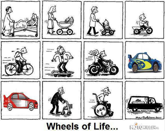Wheels of life –  
