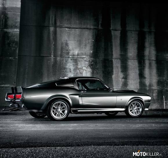 SHELBY GT 500 MUSTANG –  