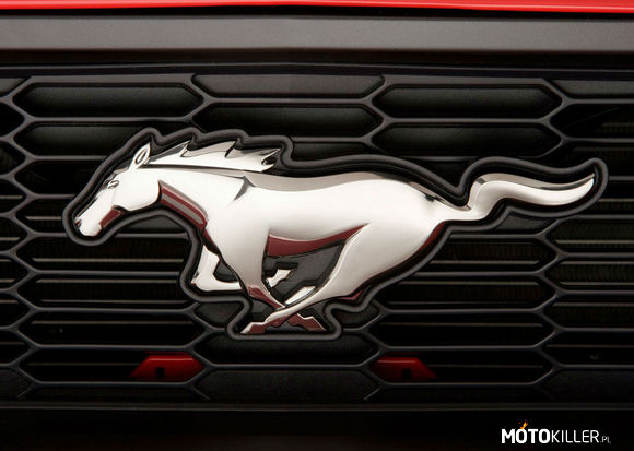 Mustang – Dla mnie, to symbol wolności oraz ogromnej mocy. 