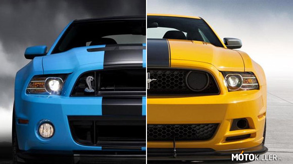 Mustang Shelby vs Boss – Którego chcielibyście widzieć w swoim garażu? 