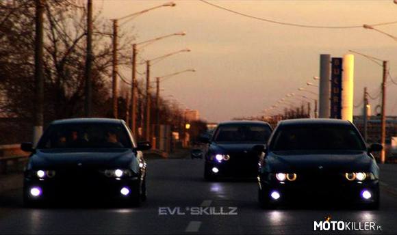 BMW E39 Mafia –  