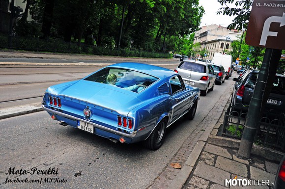 Mustang GT Fastback &apos;67 – zdjęcie mojego autorstwa

P.S. pozdrowienia dla właściciela 