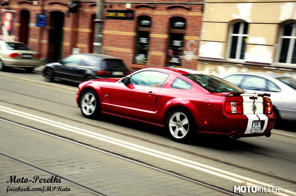 Mustang GT – Zdjęcie mojego autorstwa, zezwalam na udostępnianie zdjęcia
Michał Dziubiński
https://www.facebook.com/MPKato 