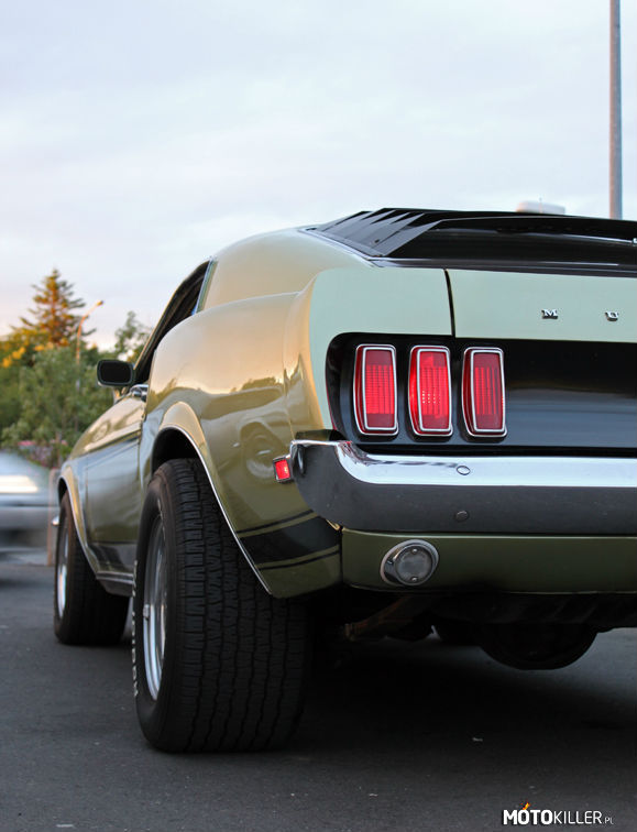 Mustang &apos;69 –  