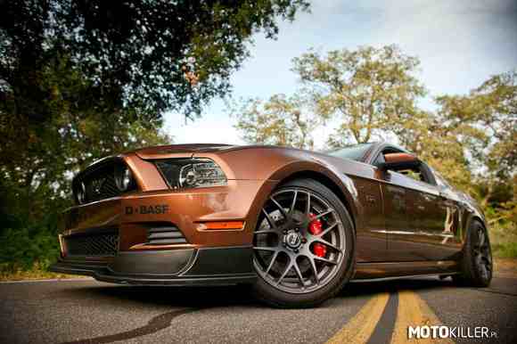 Ford mustang rtr –  