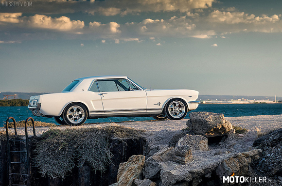 Ford Mustang 66&apos; –  