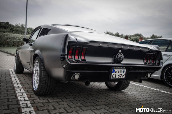Mustang – Klasyk, ale bardzo popularny 