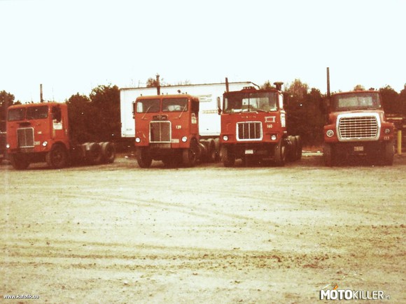 Amerykańskie ciężarówki. – Na tym zdjęciu widać dwa egzemplarze auta White Freightliner, Mack model F i Ford 9000. Zdjęcie zostało zrobione z początku lat 80 XX wieku. 